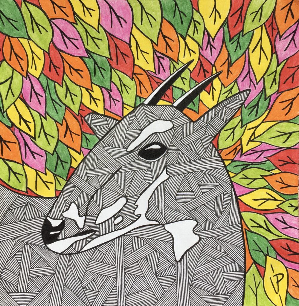 Saola on a colorful background